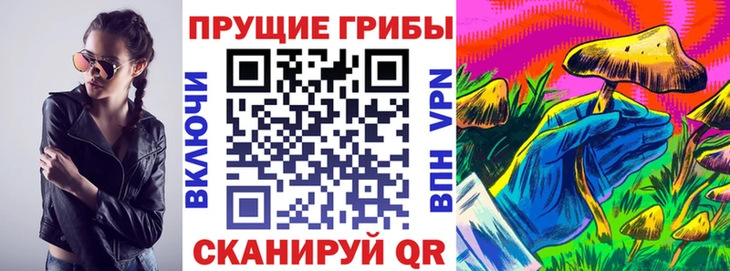 Псилоцибиновые грибы мицелий  Ростов-на-Дону 